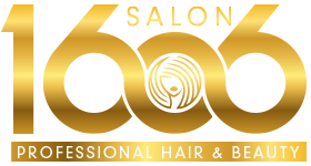 Salon_1606_logo_new